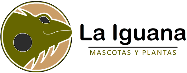 La Iguana Mascotas - Gijón